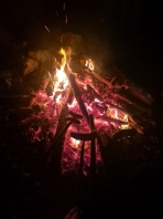 IMAGE 2024-11-24 18_44_02.jpg